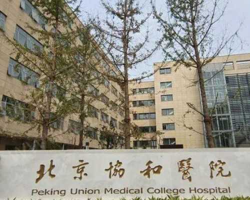 代生儿子价格，感冒影响试管成功率吗-孕妇感冒影响试管成功率吗