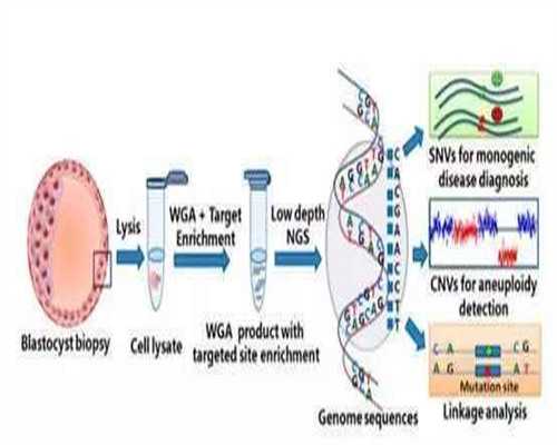 集爱彭献东代生机构靠谱吗成功率分析,助孕找他准没错!