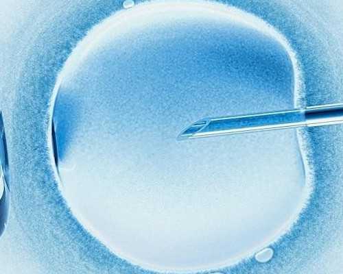 代生选择性别促排卵及移植费用多少钱_代生选择性别促排卵大概多少钱