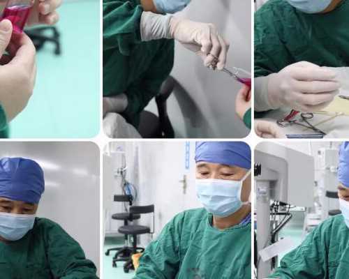 海口哪里试管婴儿好点的医院_海口哪家试管婴儿成功率高！