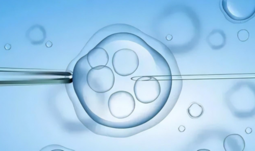 试管机构电话，大卫排卵试纸一直强阳