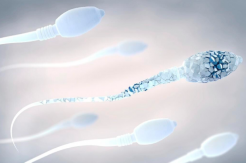 阜阳三代代生孩子哪家优惠囊胚着床率 三代代生孩子哪家优惠囊胚成功率高吗