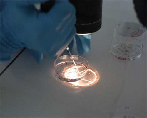 三代哪里招聘代生跟一代哪里招聘代生有什么区别呢？三代哪里招聘代生和一二