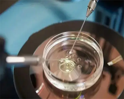 海口试管供卵咨询哪个医院,海口做试管成功率很高的医院名单汇总