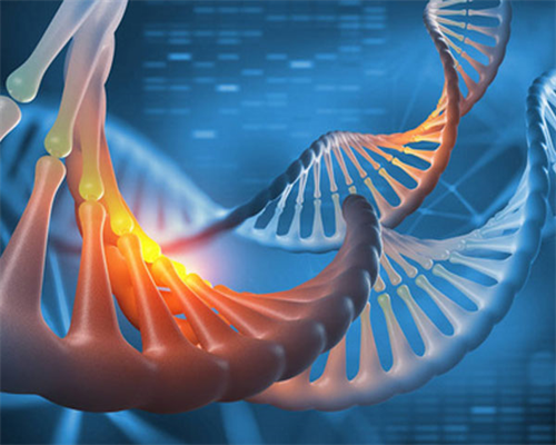 海口助孕中介网址,海口哪家医院做试管婴儿可以助孕?