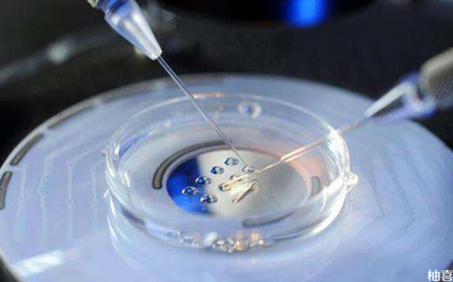 茂名妇幼能做试管婴儿么？茂名妇幼能做试管婴儿么吗？