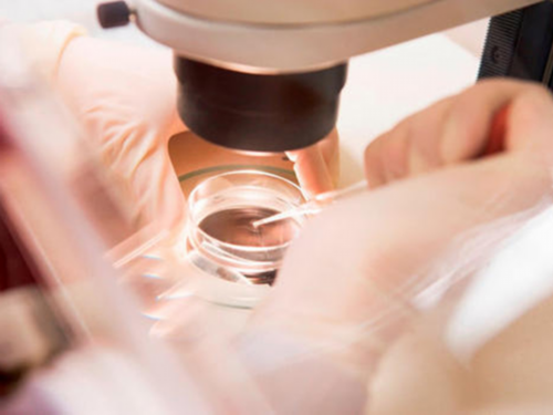 保定妇幼保健院代生公司服务的大致费用,最新代生公司服务价格表隆重推出