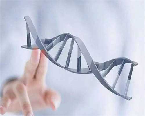 澳门做试管代怀成辅助生殖中介