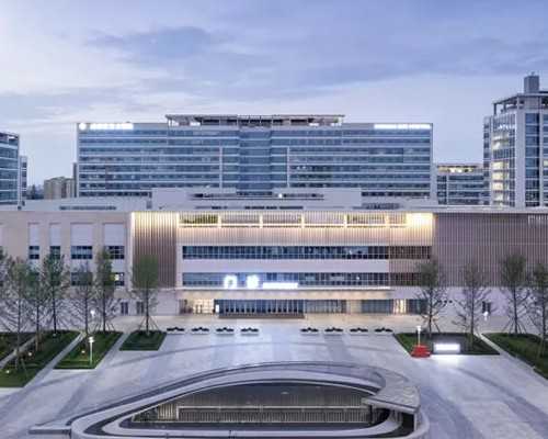 代生多少费用多少移植一般是龙凤胎！三代代生多少费用多少移植两个囊胚一般